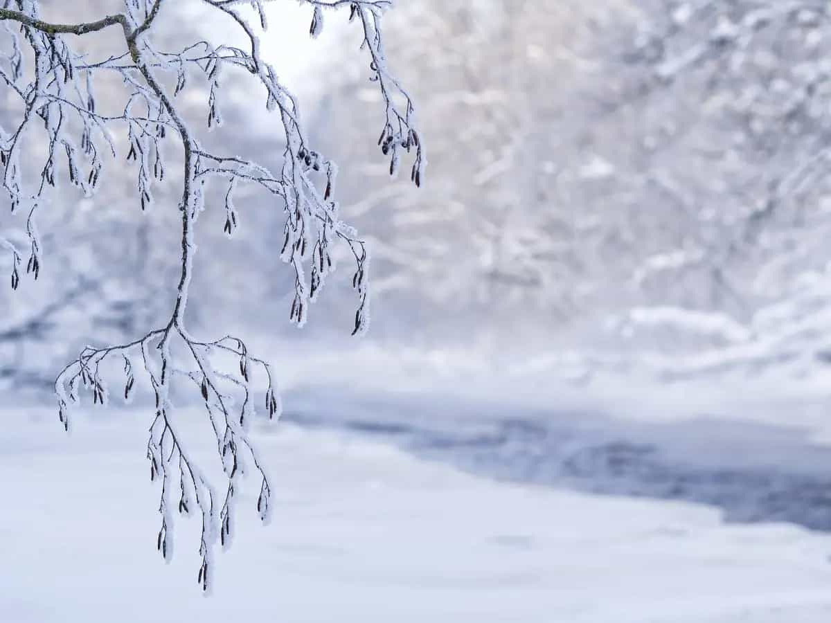 Gennaio, la bellissima poesia di Giovanni Pascoli sull’inverno