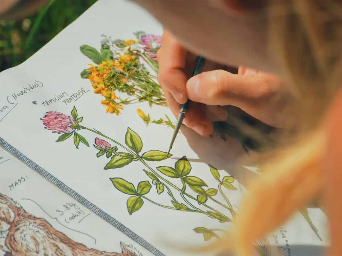 Storia del linguaggio dei fiori, dove nasce e chi l’ha inventato