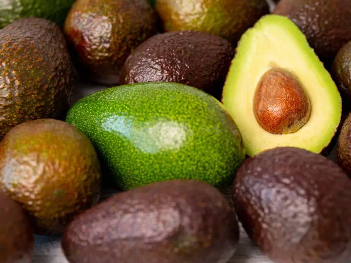 Come riconoscere un avocado maturo