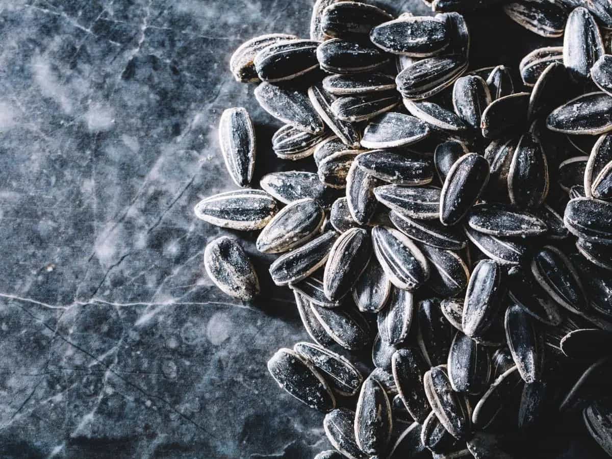 Gli scarti di olio di semi di girasole diventano un superfood