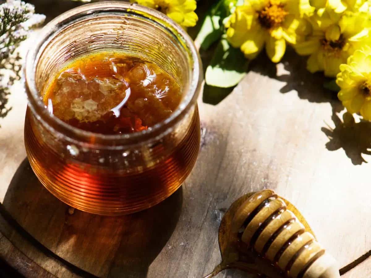 Miele al cacao naturale e sostenibile, la scoperta degli scienziati