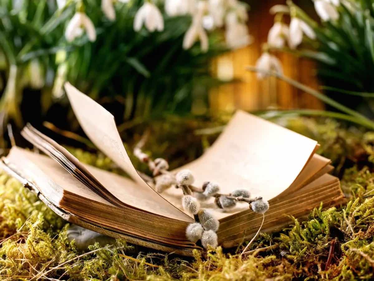 Scintille, la bellissima poesia di Tagore sulla primavera