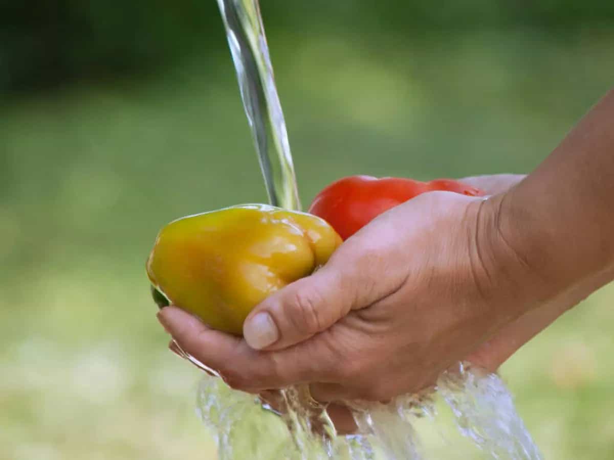 Spreco di acqua, il prezzo nascosto del cibo buttato