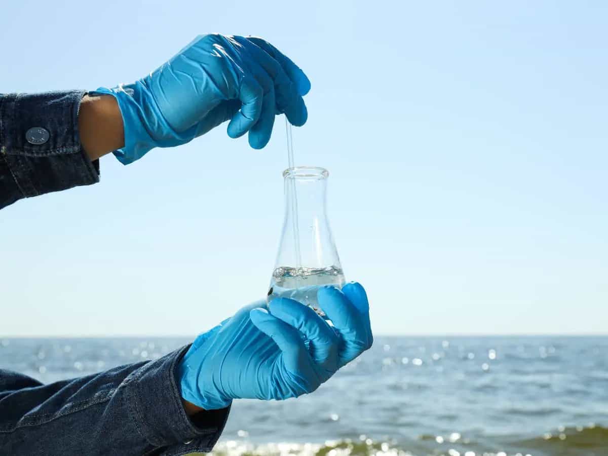 Acque di mari e oceani, così possono assorbire più CO2