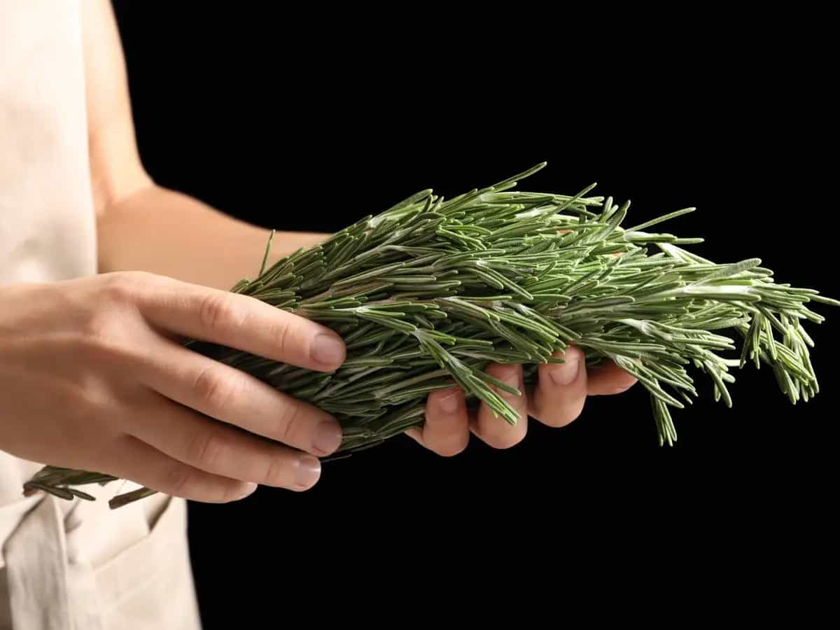 Agretti, proprietà e benefici