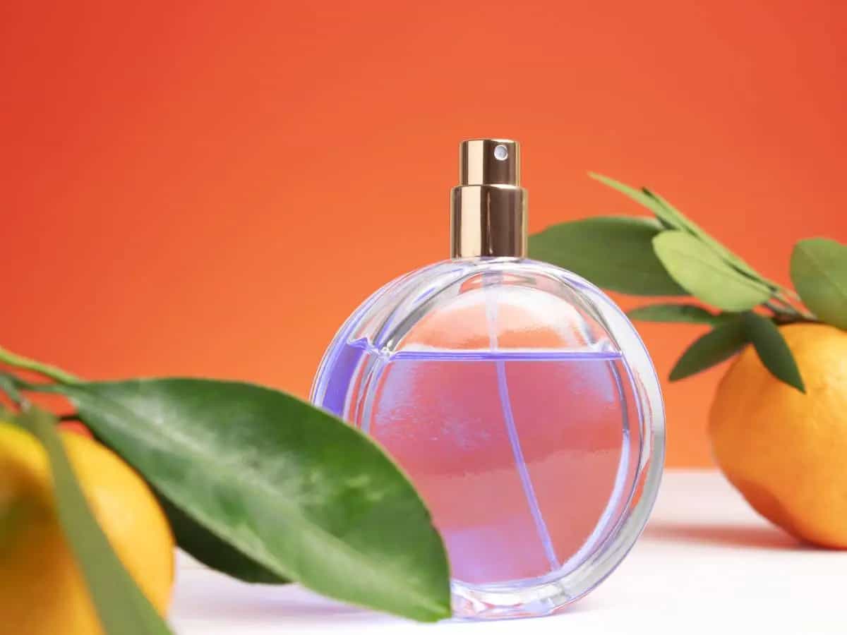 Agrumi, anche il loro profumo è un aiuto contro lo stress