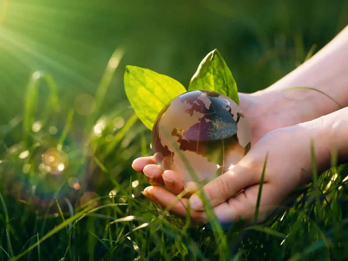 Giornata Mondiale della Terra, tre canzoni per celebrarla