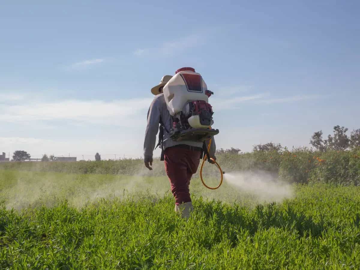Pesticidi e cancro, cosa sappiamo davvero sul rischio