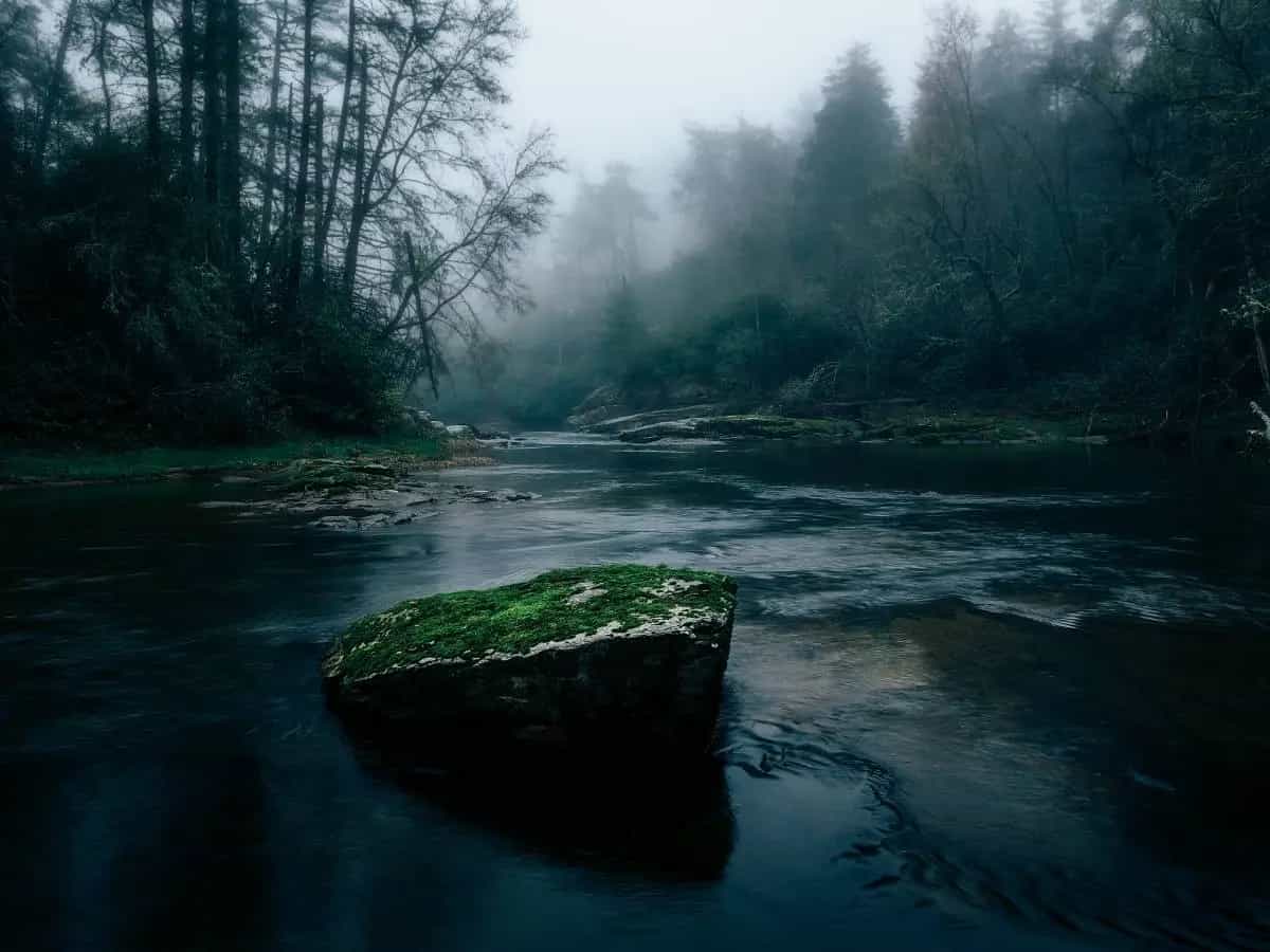 Il fiume e l’oceano di Kahlil Gibran, significato della poesia sul cambiamento