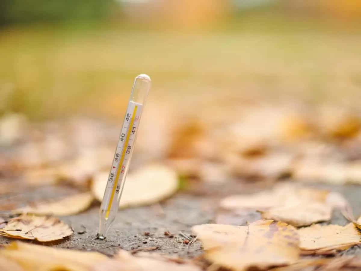 Caldo, afa e umidità, differenze e perché il caldo umido pesa di più