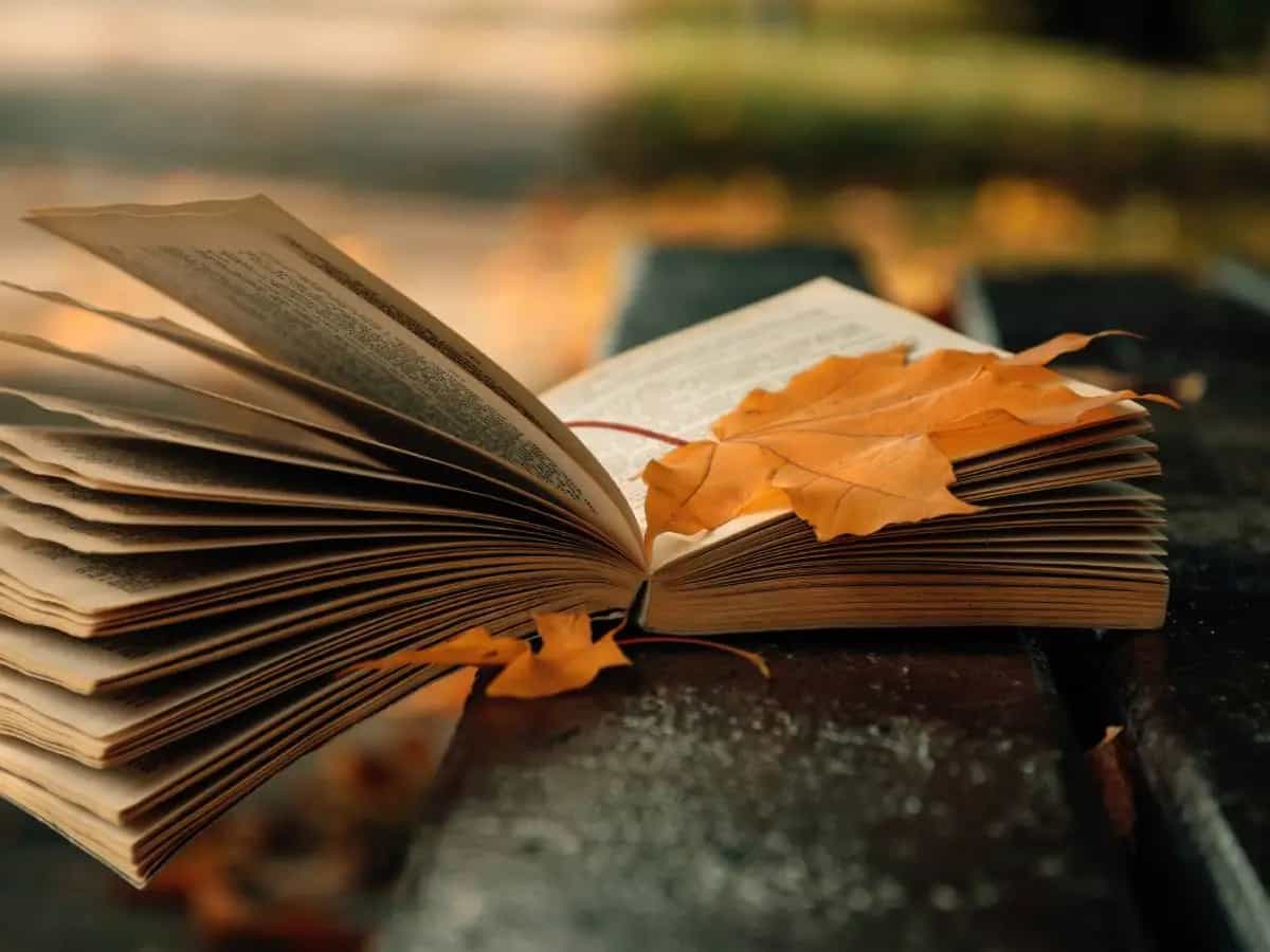 Le frasi più belle sulla fine dell’estate e l’inizio dell’autunno