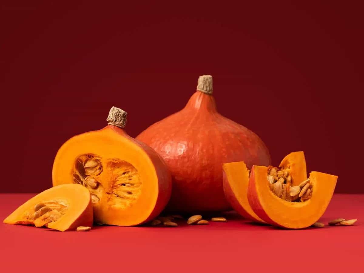 Zucca Hokkaido e Butternut, differenze, sapore e usi in cucina