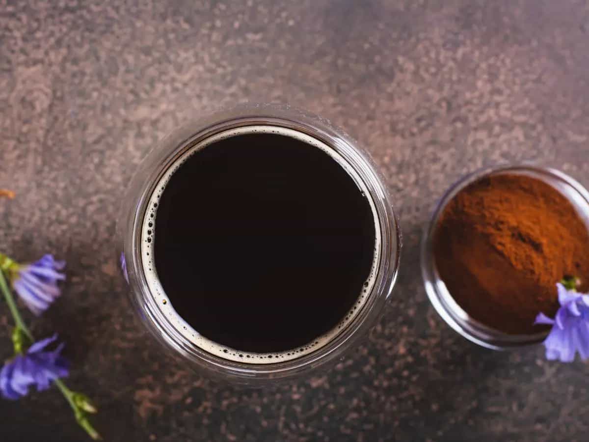 Caffè d’orzo e caffè di cicoria, differenze e quale scegliere