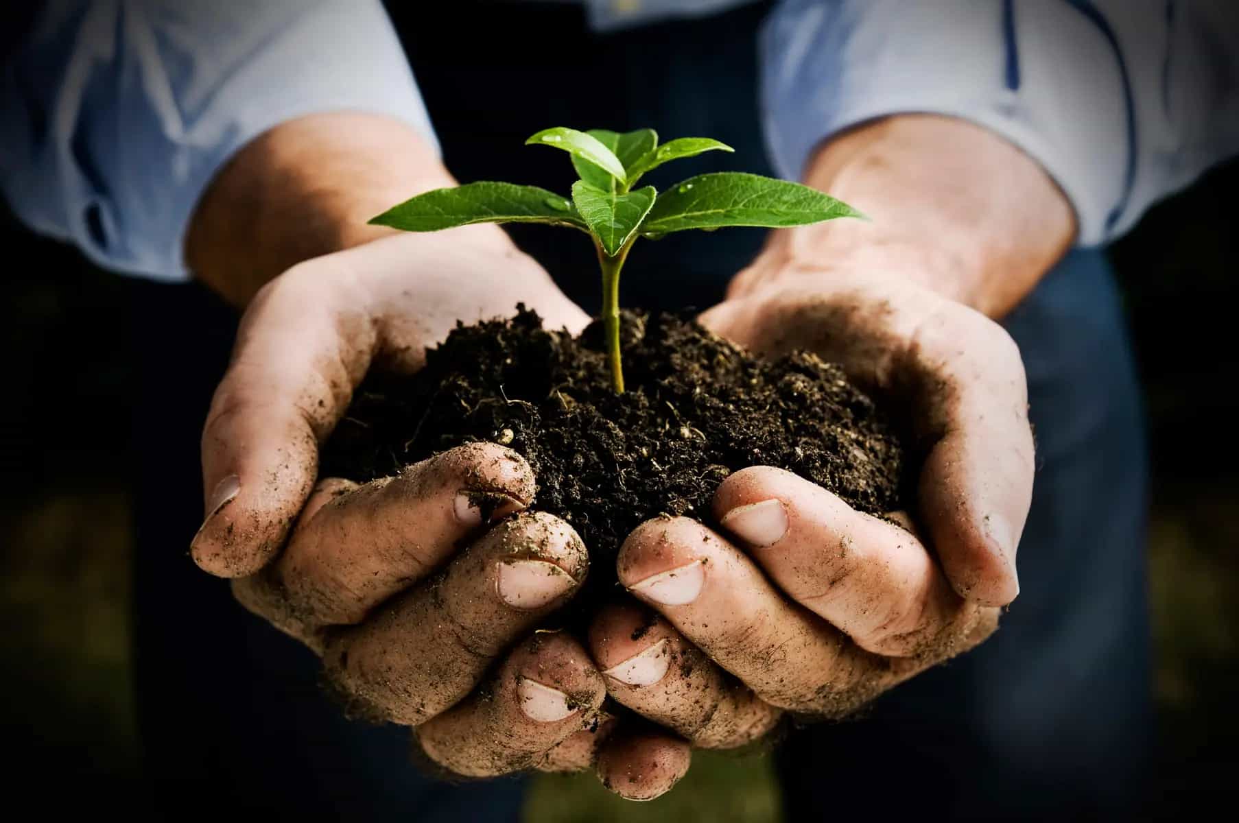 La biodinamica funziona sul serio?
