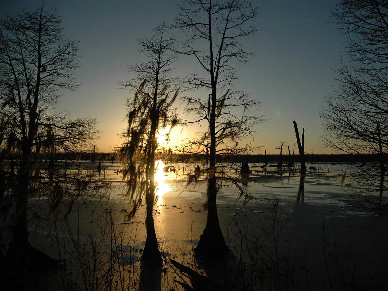 Le coste della Louisiana stanno sprofondando