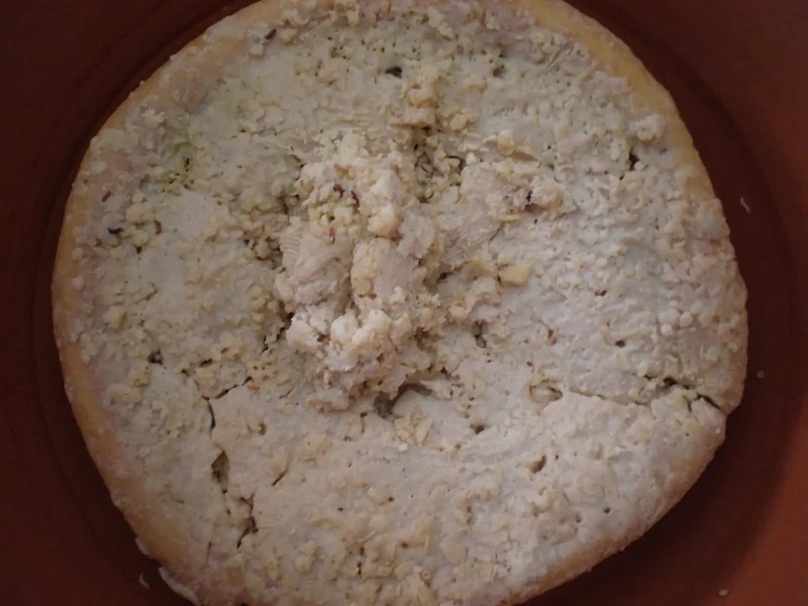 Casu marzu, il formaggio coi vermi diventato fuorilegge