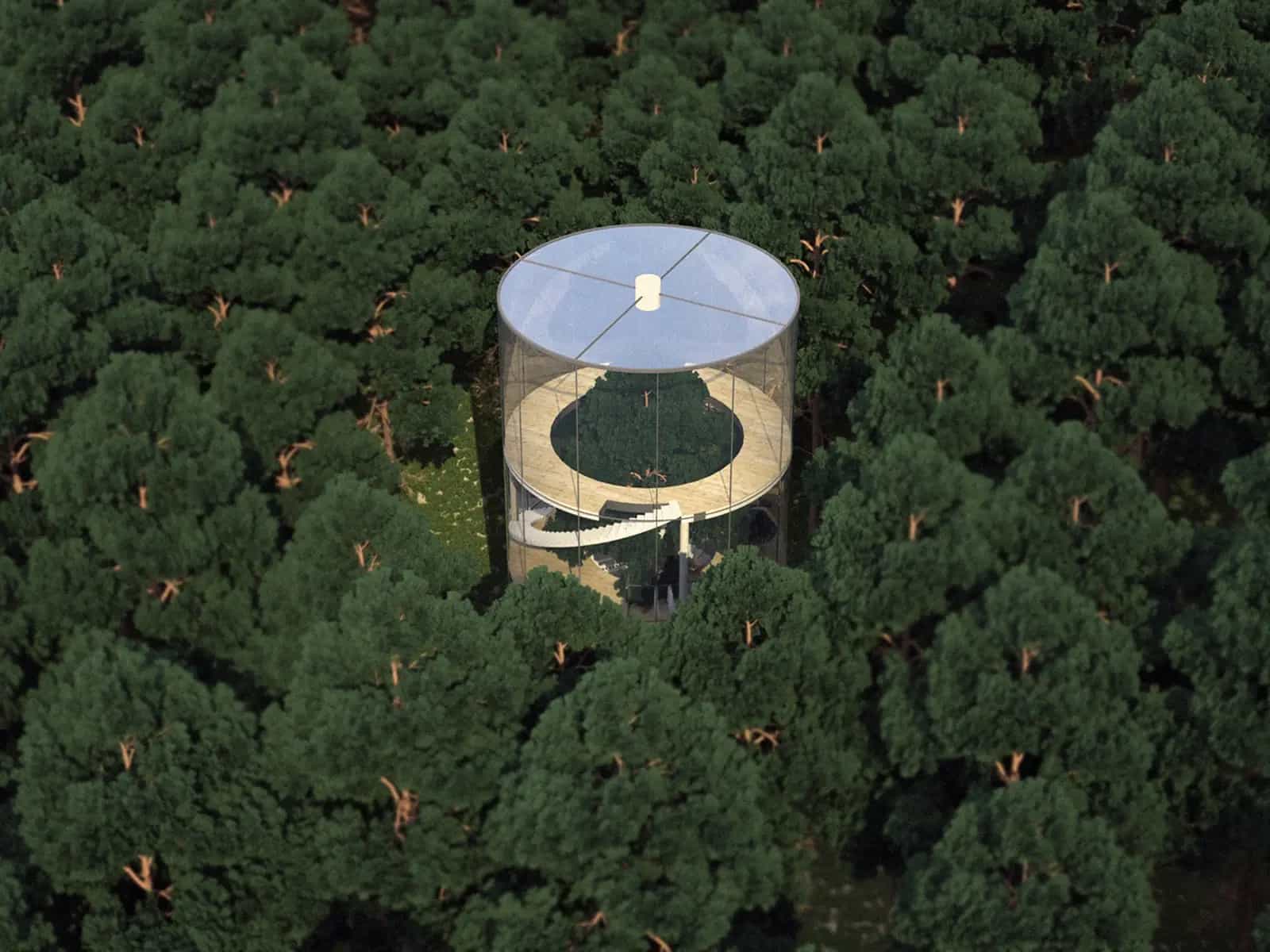 Tree in the house: quando le case crescono attorno agli alberi