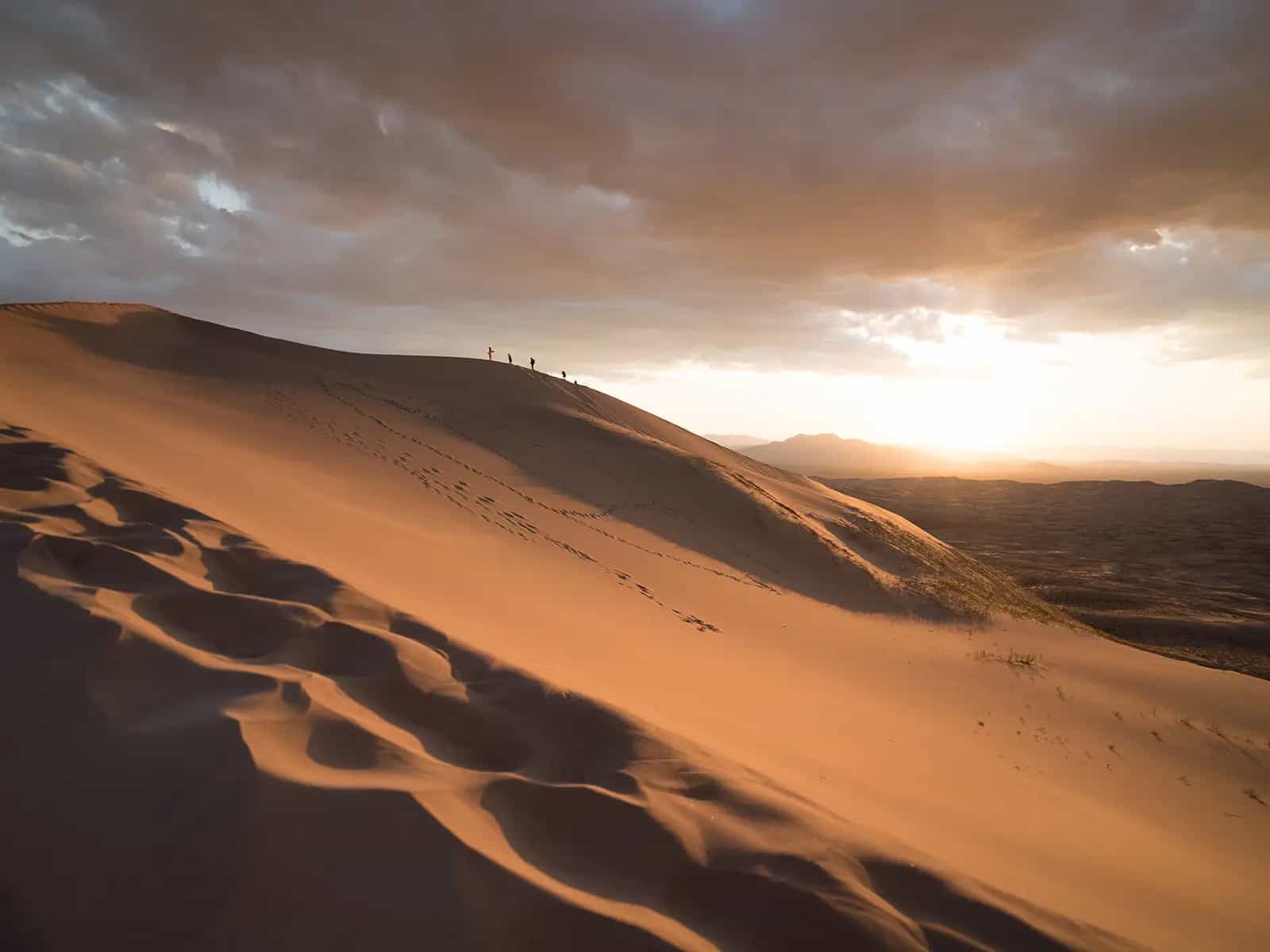 Siccità e desertificazione: di cosa si tratta?
