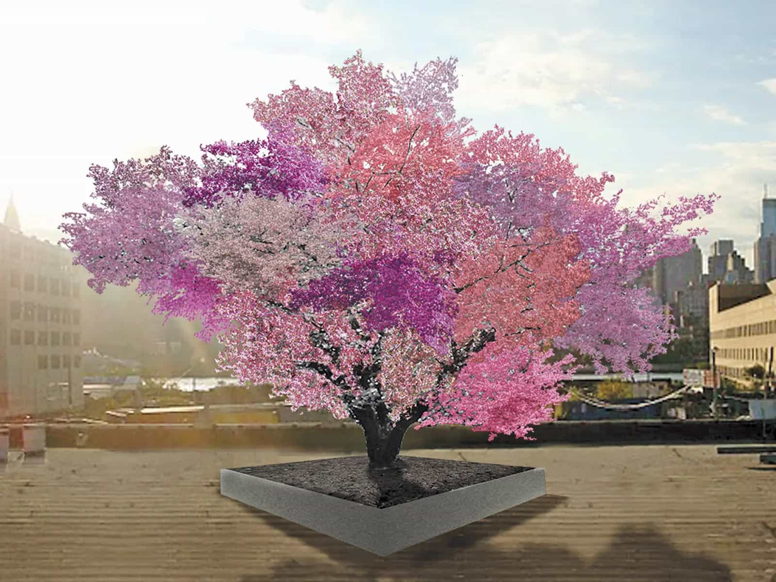 L'albero dai 40 frutti