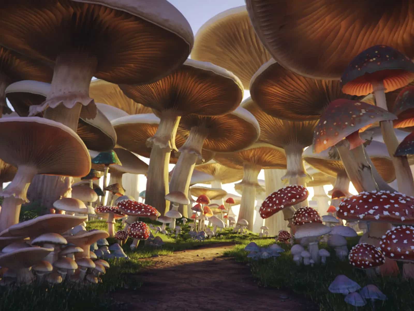 Quando le foreste erano dominate da funghi giganti
