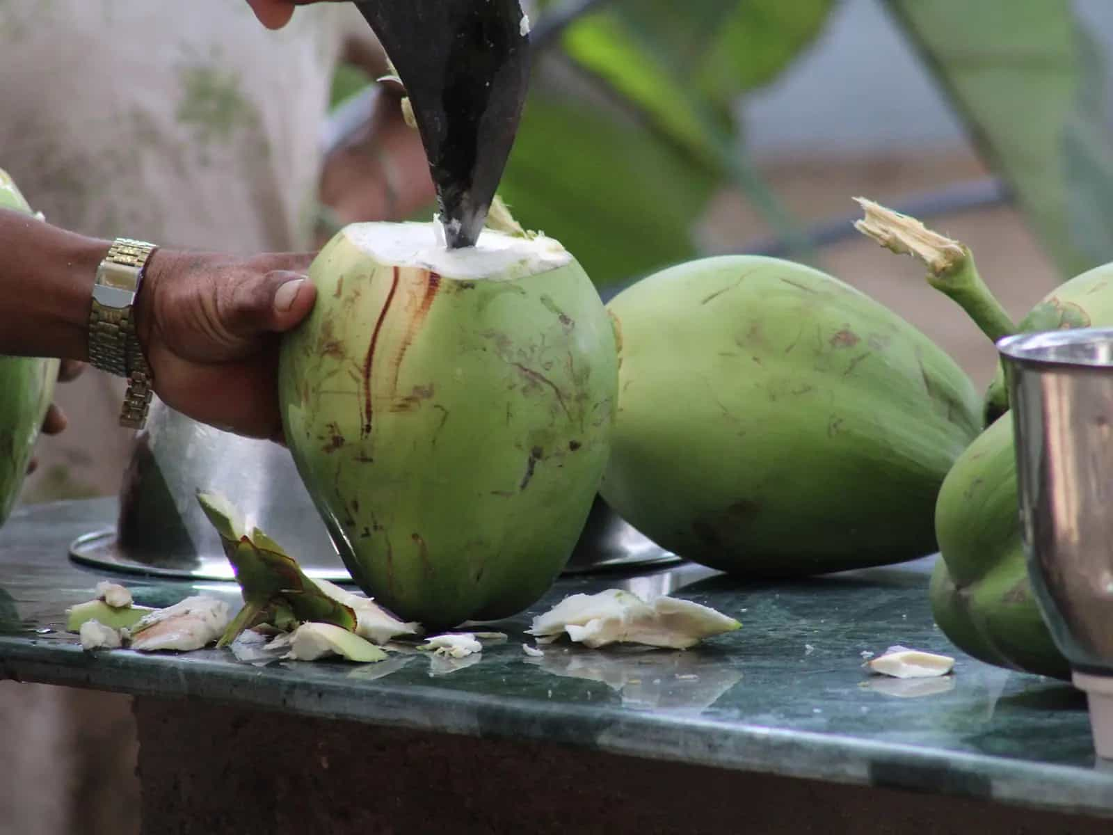 L’acqua di cocco è davvero così prodigiosa?