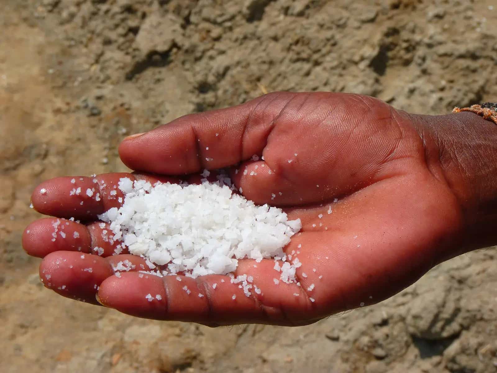 Sale marino? Sempre più contaminato dalla plastica