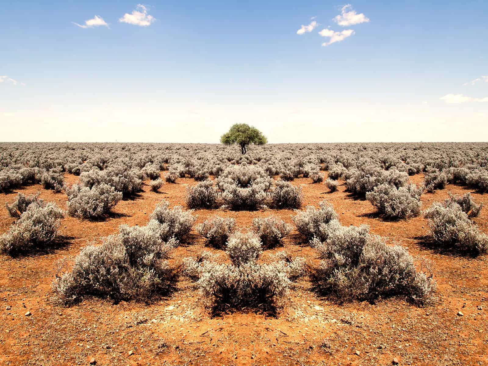 Cambiamento climatico
