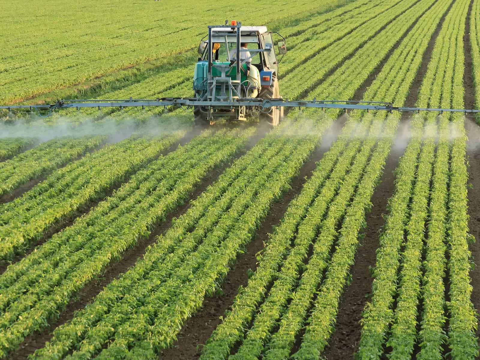 Glifosato, l'erbicida che preoccupa l'Europa