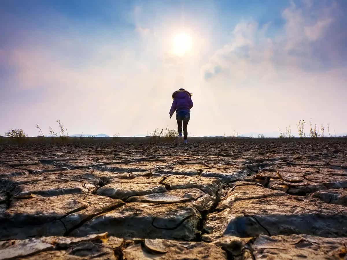 Il 2017 è stato l'anno più caldo