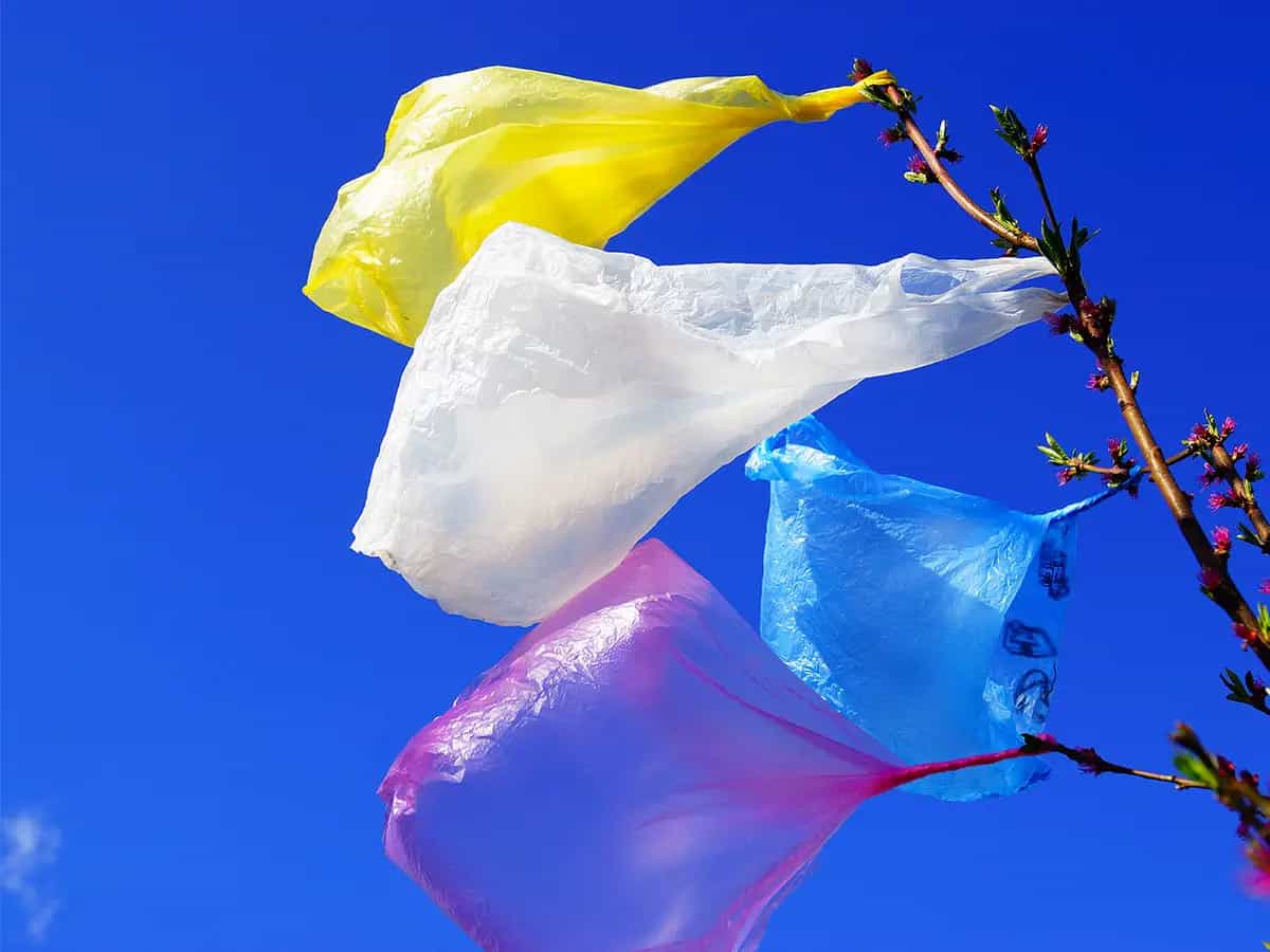 tassa sulla plastica unione europea