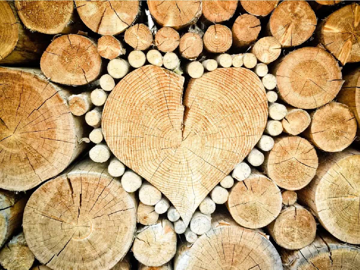 Legno forte come acciaio nuova tecnica superlegno