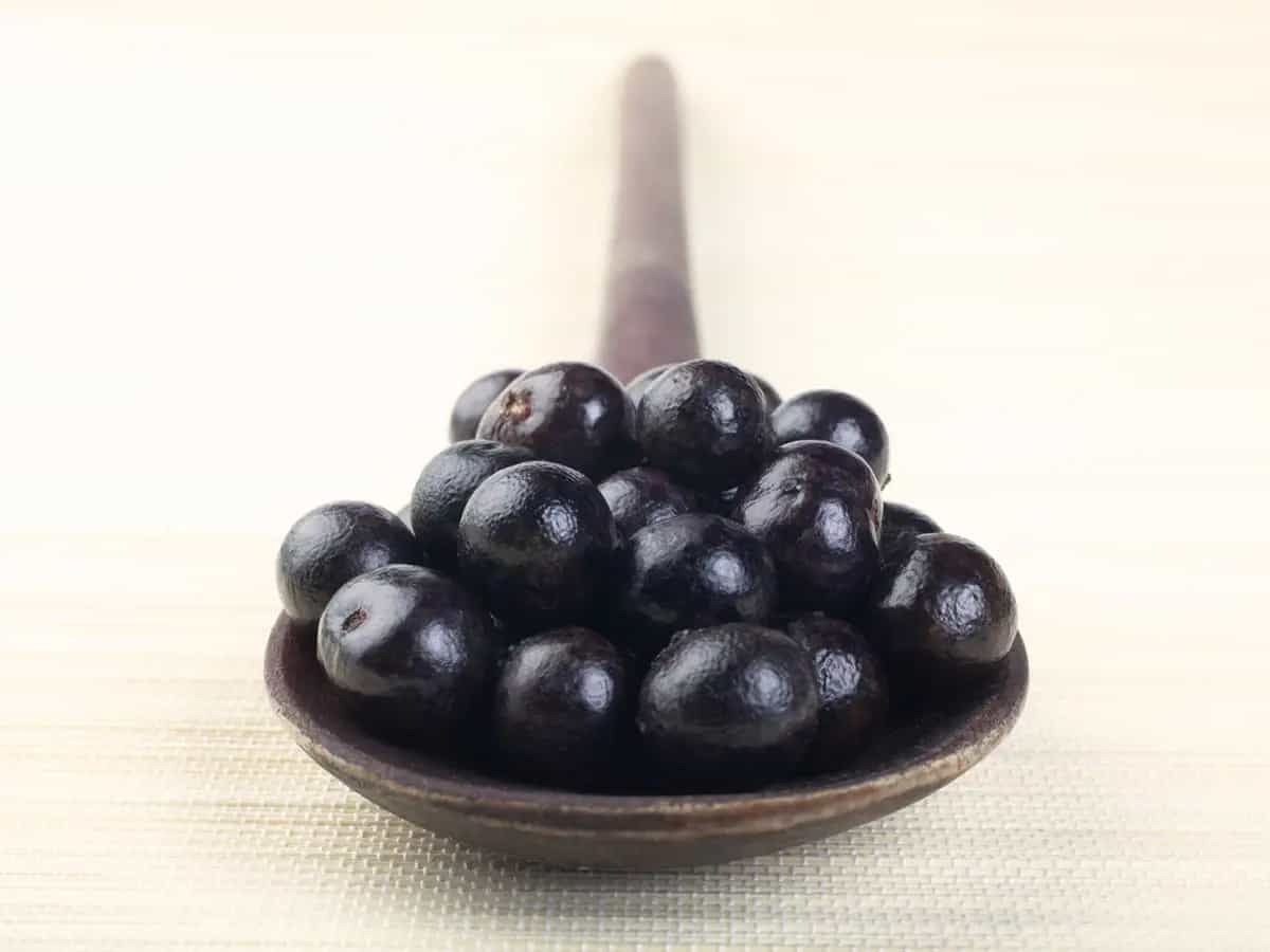 Bacche di Maqui proprieta e benefici del prossimo super food