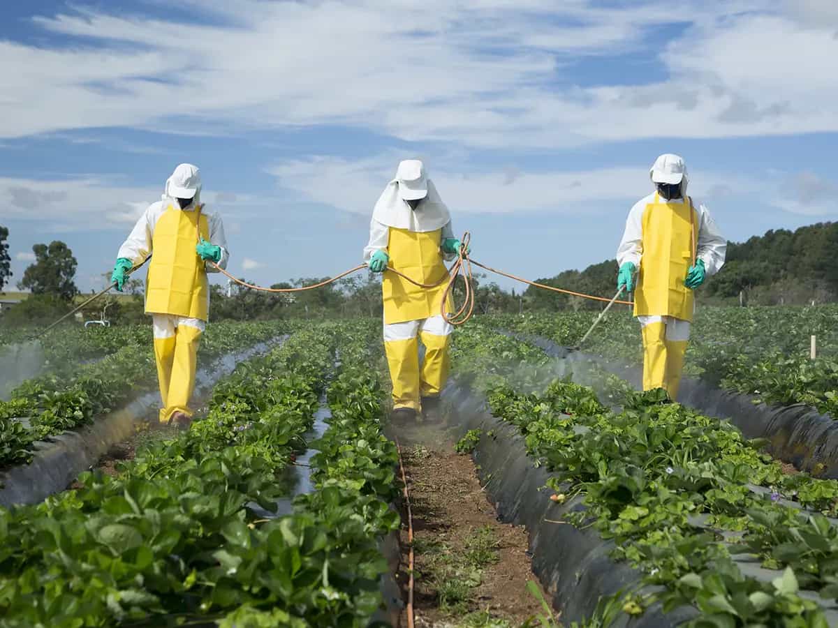 259 pesticidi nell acqua italiana