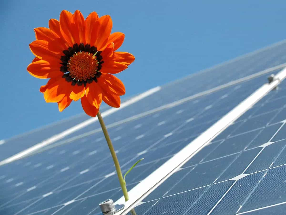 germania energia rinnovabile portogallo
