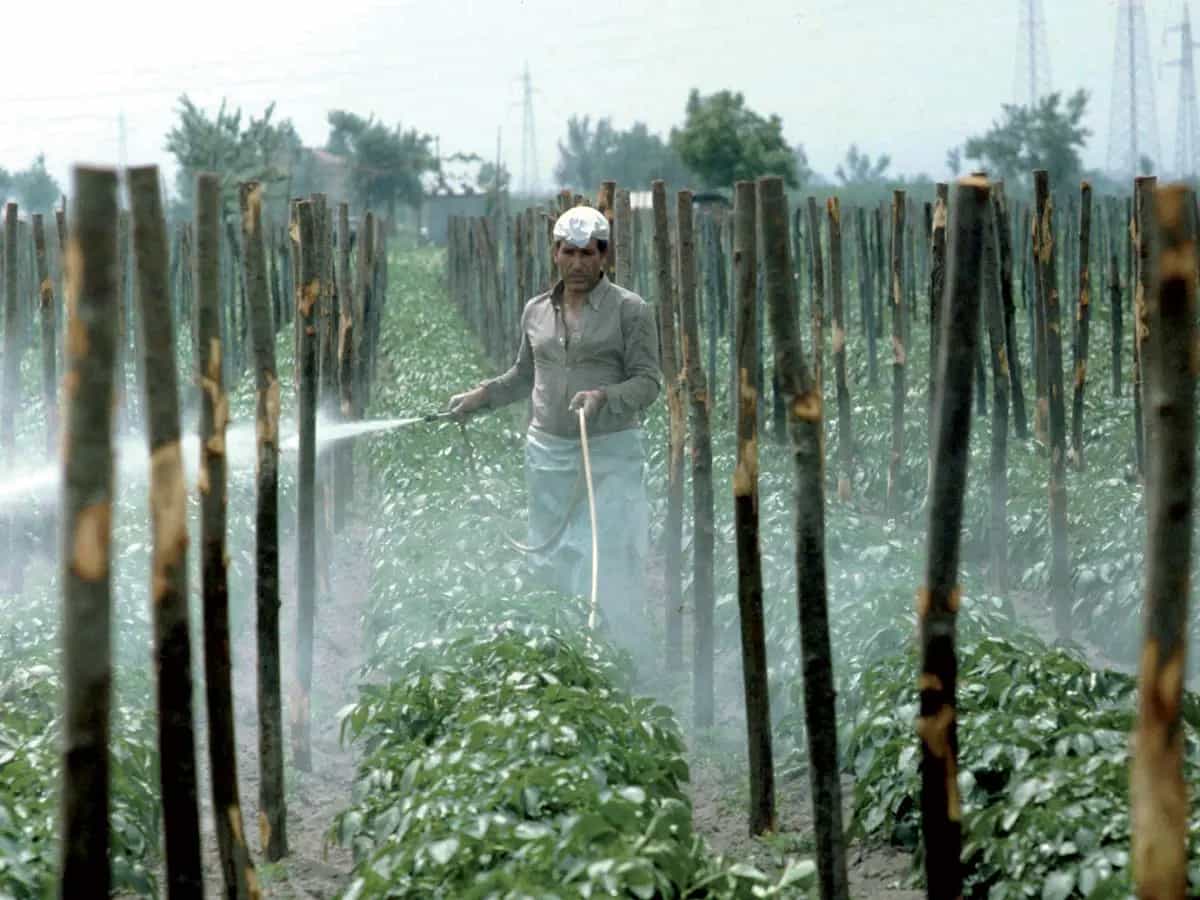 Il glifosato e sicuro lo dice l EFSA