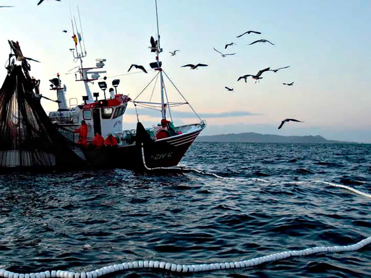 Pesce sostenibile al ristorante 40 locali italiani certificati