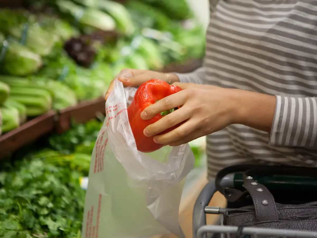 arriva ok per i sacchetti biodegradabili da casa