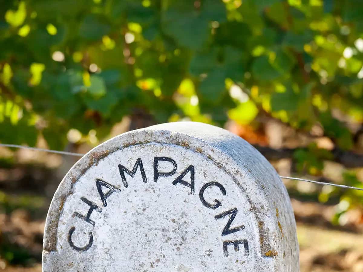 champagne a rischio clima