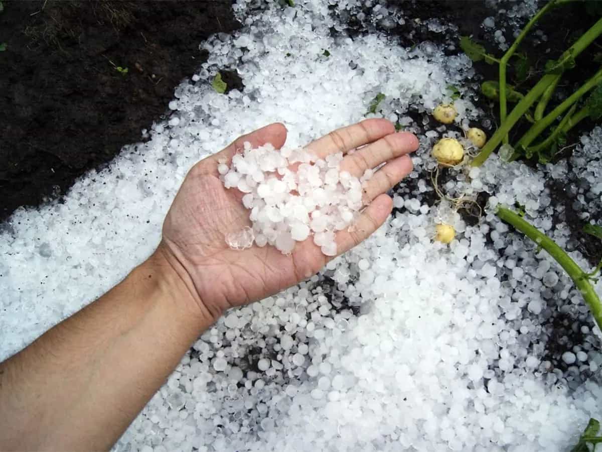 Cosa fare dopo la grandine