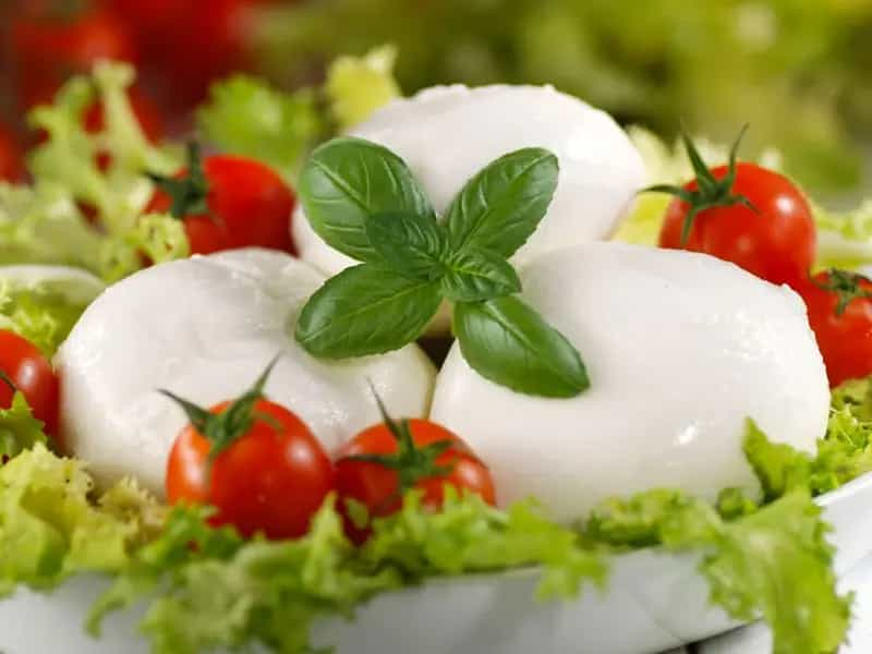 mozzarella biologica italiana Stati Unitimozzarella biologica italiana Stati Uniti