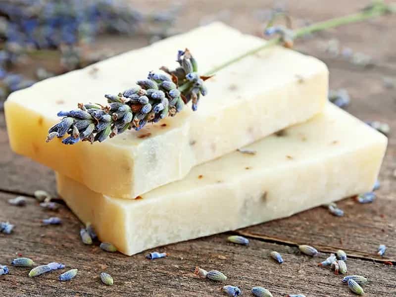 ingredienti biologici biodegradabili