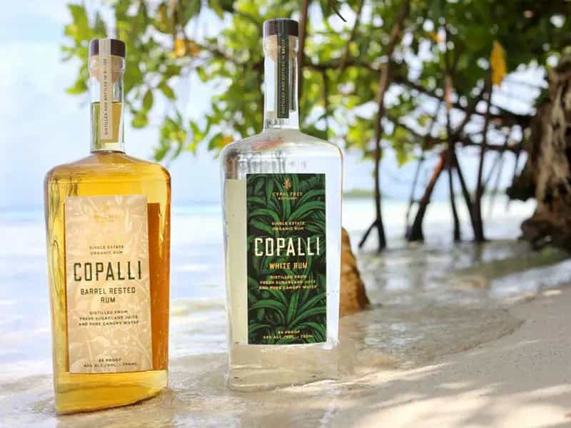 rum biologico foreste Belize