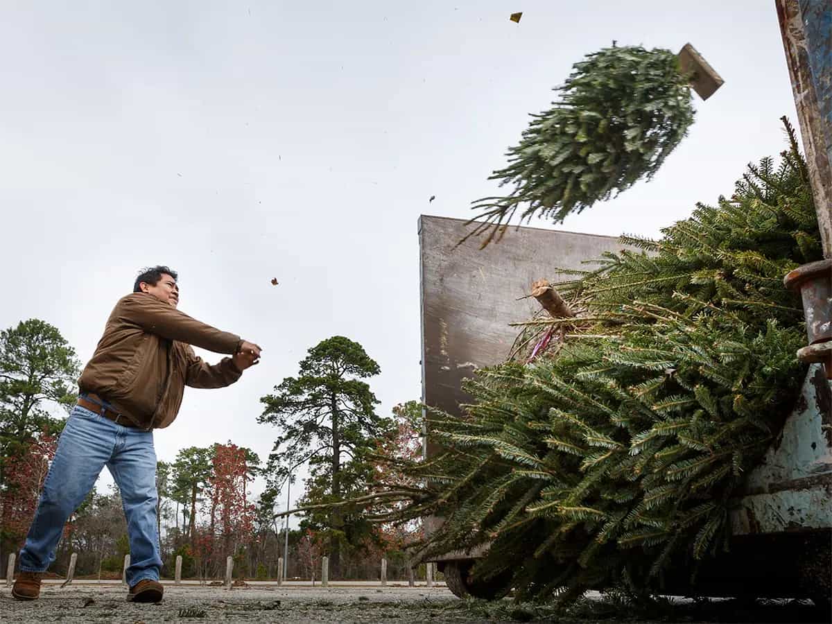 Riciclare albero di Natale