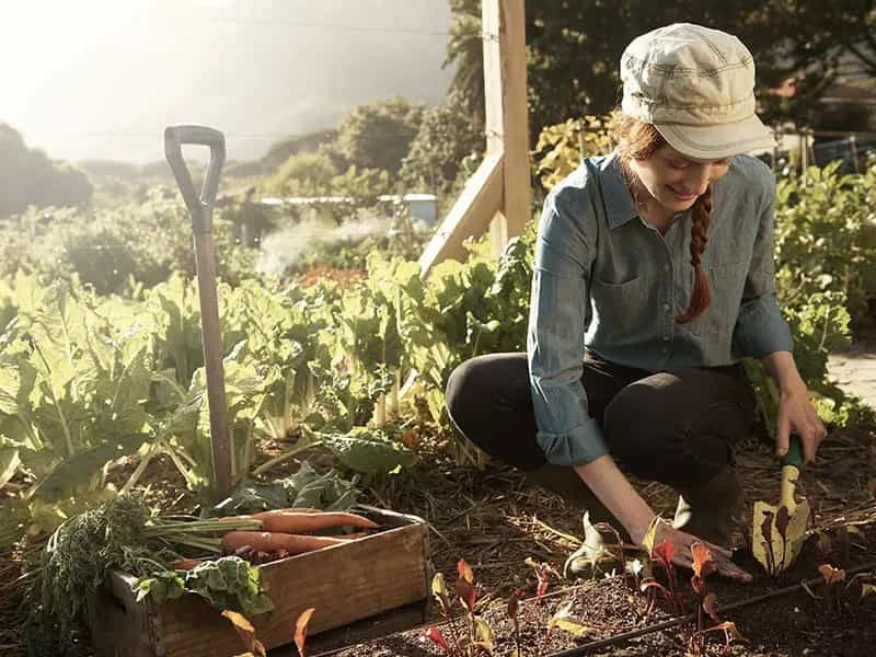 cambiare mondo agroalimentare