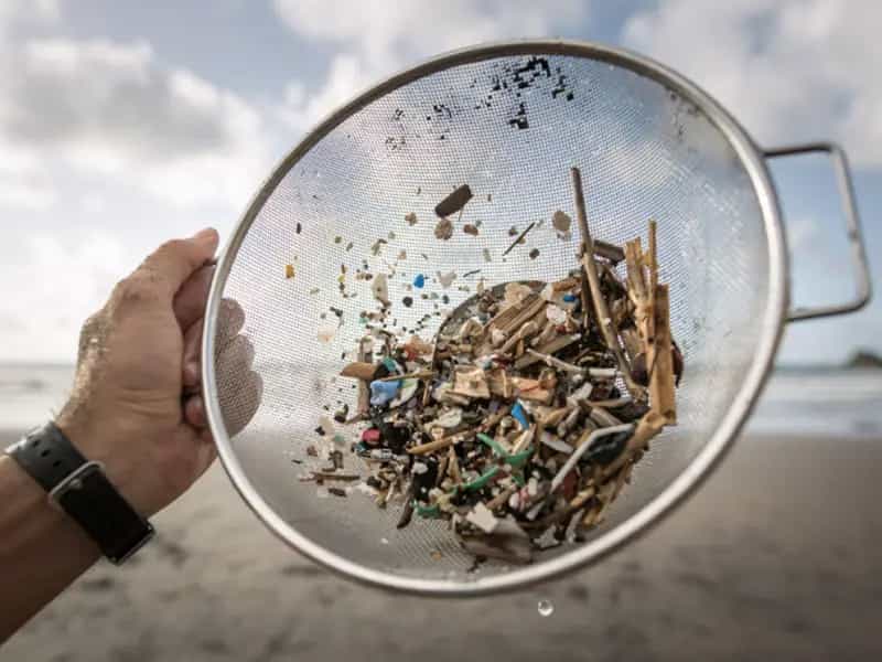 italia elimina microplastiche