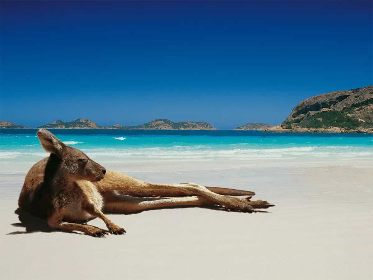 Cambiamento climatico inverno australia