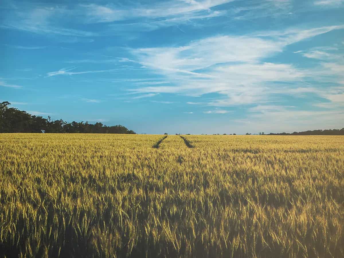 bio contrasta cambiamento climatico
