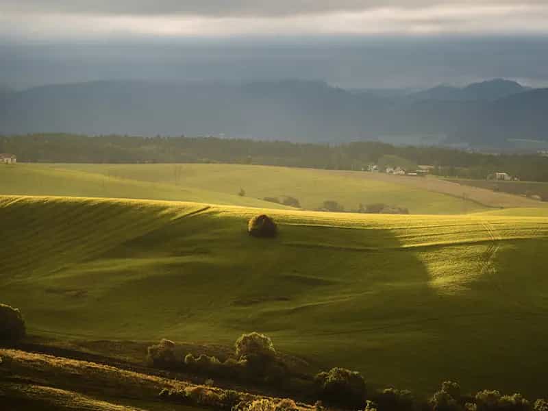 europa biologica agroecologica