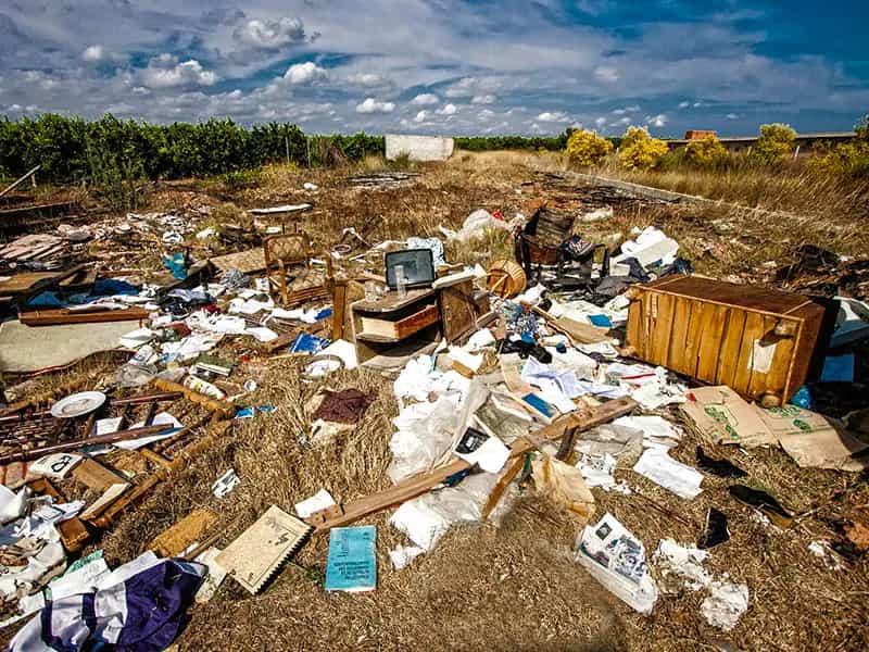trash challenge ripulire pianeta