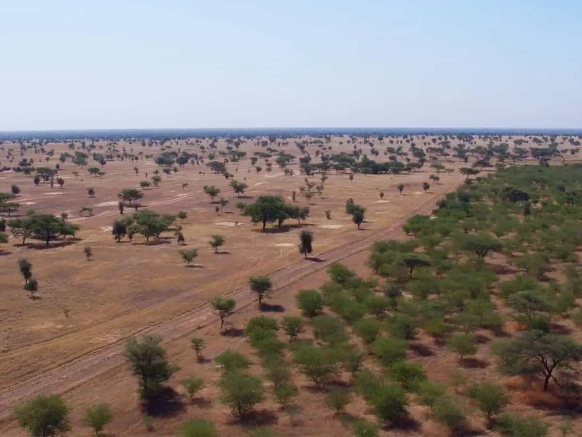 La Grande Muraglia Verde deserto